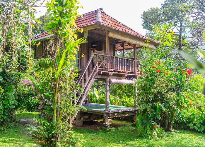 Dwm Esa Di Kubu By Reccoma Séjour chez l'habitant Singaraja